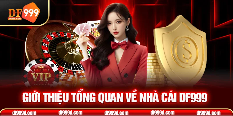 Giới thiệu tổng quan về DF999